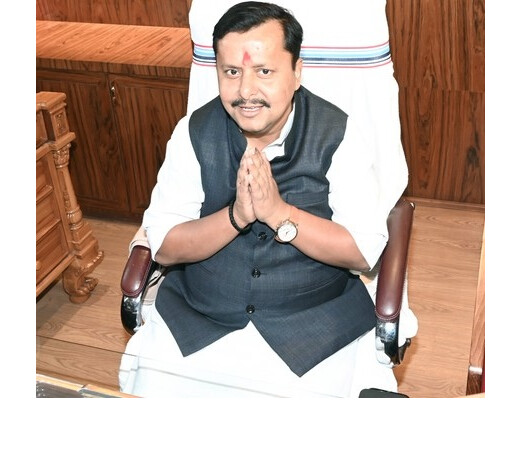 नितिन नबीन बने भाजपा के राष्ट्रीय कार्यकारी अध्यक्ष, समर्थकों के बीच जश्न का माहौल